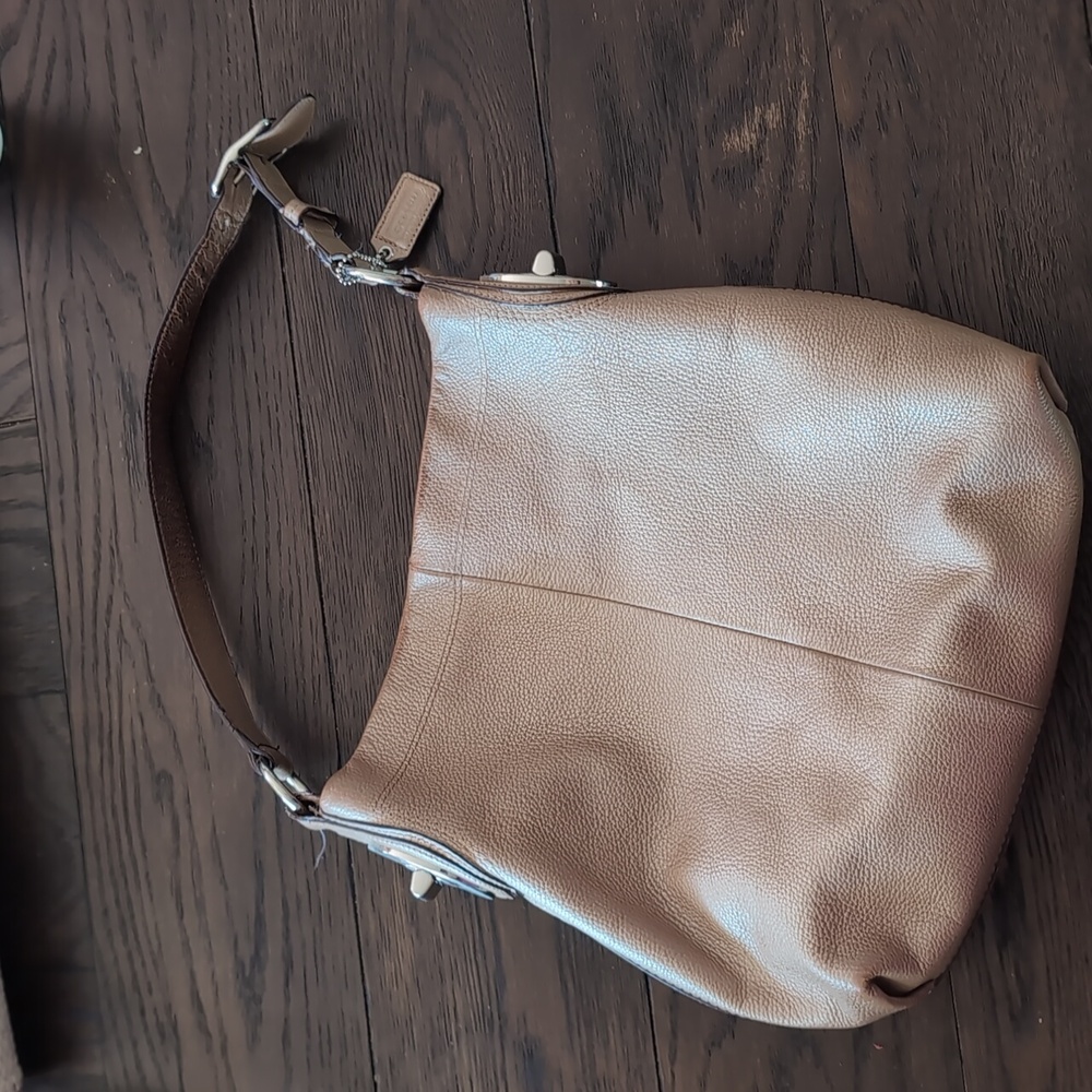 Coach Gold Shimmer Leather Shoulder Bag